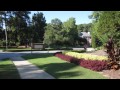 Rich Neighborhood Prank Calls