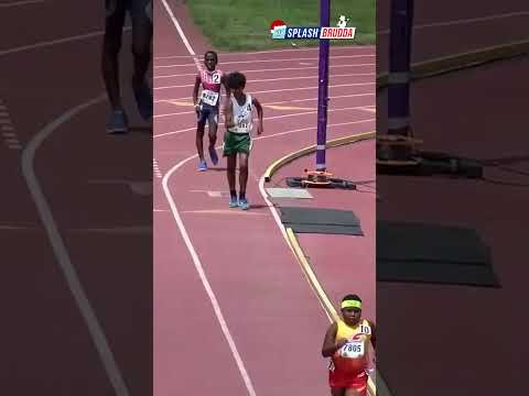 Der Splash Adventskalender🎄Türchen 1/24