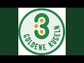 Zu den 3 Goldenen Kugeln - Jubiläumssong