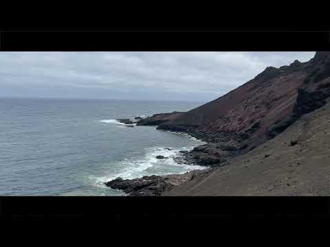 Looking back at 2021 | Cinematic Movie by FeelOurNature