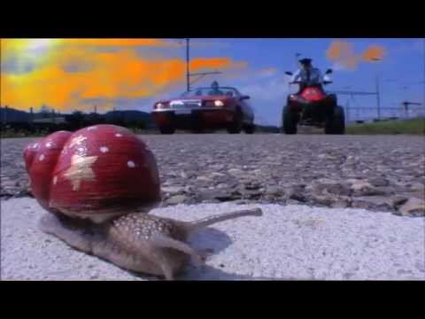 afbeelding Pepperminta