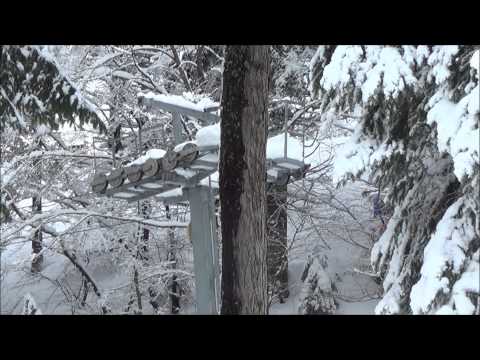 Sciovia MEB "Duadello" Val Palot Pisogne (BS)