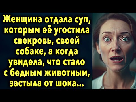 Женщина отдала суп, которым ее угостила свекровь, своей собаке, а когда увидела, что…