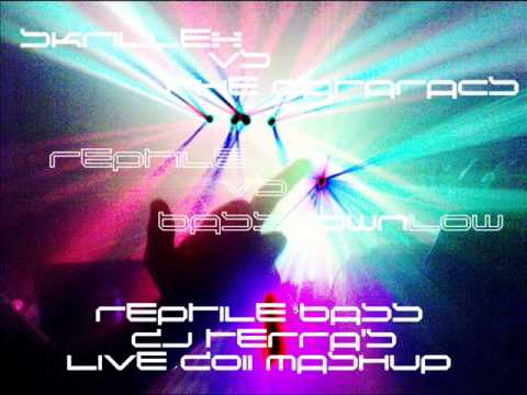 Skrillex VS The Cataracs & DEV - Reptile Bass [DJ Terra's LIVE 2011 Mashup]