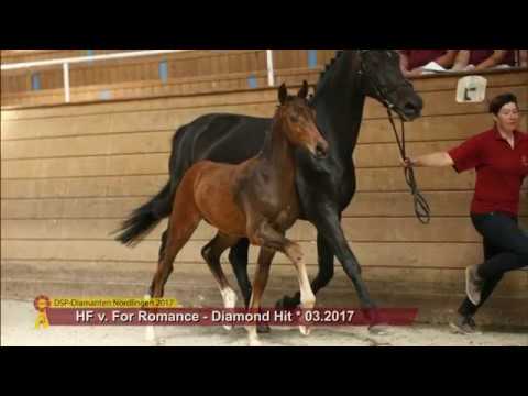 KN 39 For Diamond Hit DB Hf v. For Romance - Diamond Hit