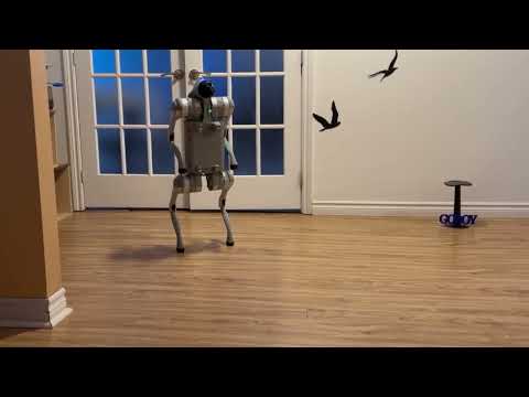 Unitree Go2 Pro walking !