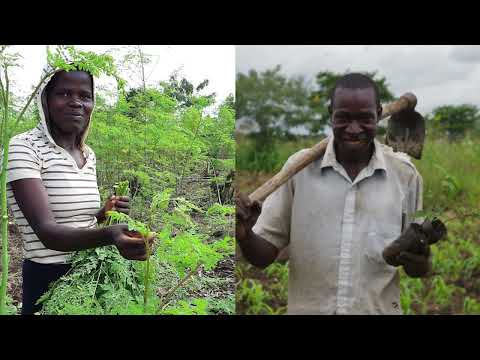 Priceless Farms: "Priceless Products, Unlimited Potential"