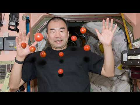 SKS 2019: Meet Space Food X, The Japanese Space Food Program