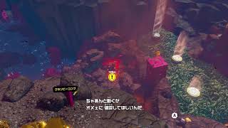 オワルヤの民【ドンキーコングバナンザ #8】