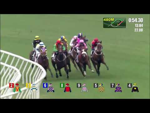 23/1/2022 (357) The Golden Scenery - J Moreira