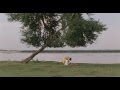 Vlc Record 2015 08 26 00h54m29s Cosmic Sex 2015 Untouched WEBHD 1080p AVC AAC ESUB Mkv