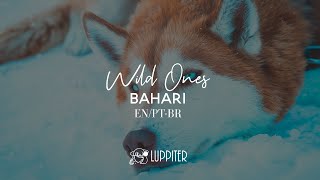 Wilde Ones - Bahari (legendado / english + tradução)