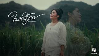 คอร์ดเพลง ใบหญ้าคา ฝ้าย อินธุอร