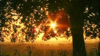 Saturday Morning - Tom Chapin - Harry Chapin Greatest Stories Live