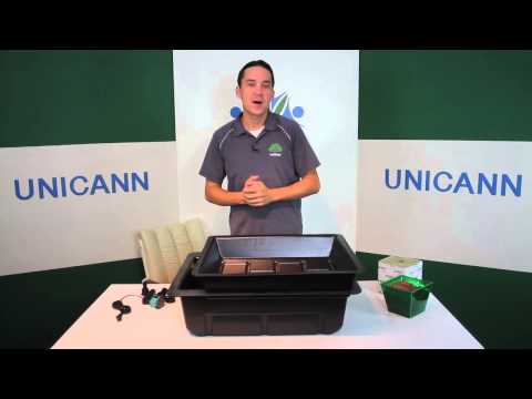 Cannabis University - Ebb and Flow - Pros and Cons