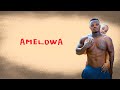 Harmonize Amelowa Music Video Lyrics