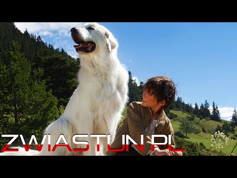 |HD|BELLA I SEBASTIAN 2|Zwiastun PL|25.12.2015