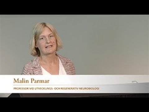 Malin Parmar: Varför flervetenskap när vi satsar på nya behandlingsvägar vid Parkinson?