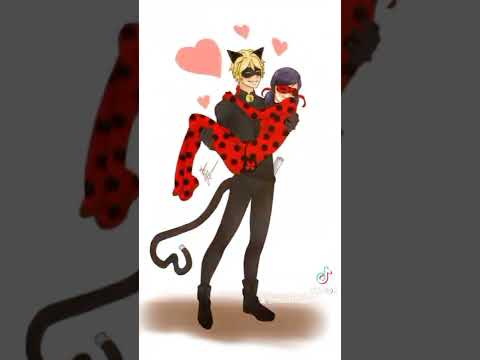 Marinette et Adrien agreste ♥️