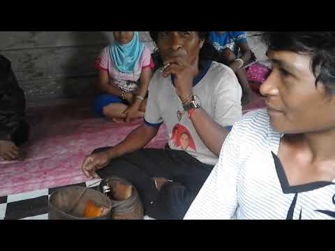 Apa makanan akan meningkatkan potensi Meningkatkan nyata anggota ini