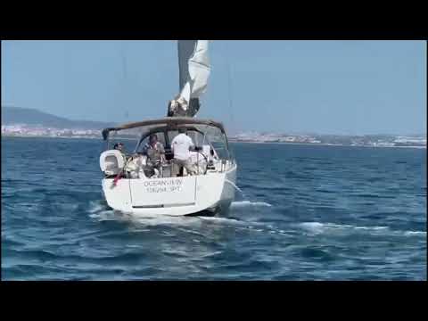 Orcas sink sailboat off Portuguese coast - five crew members safely rescued