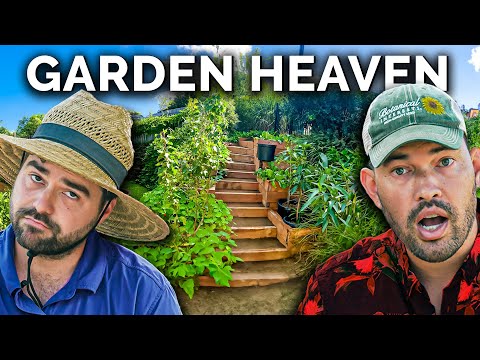 Professional Gardeners React To Subscriber Gardens Around The World!
