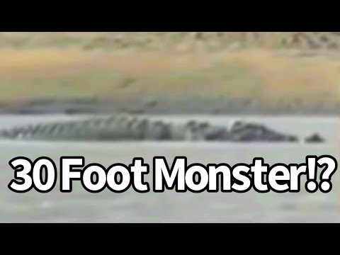 Giant Crocodile Sighted in Philippines