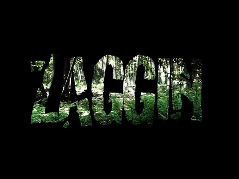 Video thumbnail for Zaggin
