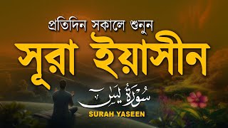 (প্রতিদিন সকালে শুনুন) আবেগময় কন্ঠে সূরা ইয়াসিন | Quran Tilawat | Surah Yaseen/yasin by Alaa Aqel