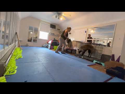 2021 0804 General Training