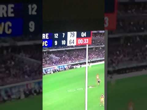 When Fremantle Fan Reacts To The Last Minute of The Western Derby