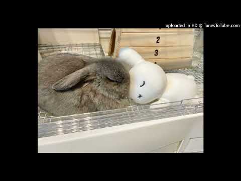 [FREE] digicore x rage type beat 'true feelings'