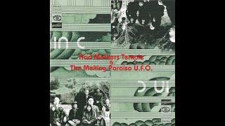 Acid Mothers Temple & the Melting Paraiso U.F.O. / In C