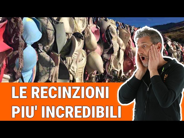 Le 10 recinzioni più strane del mondo: idee originali, design e curiosità
