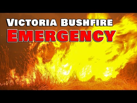 Bushfire Emergency impacts Alexandra, Victoria