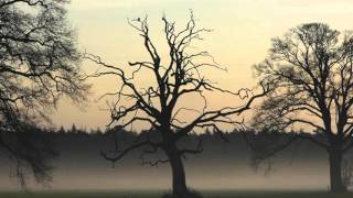 #2 A Poison Tree (Instrumental cover)