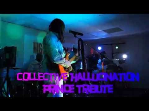 Collective Hallucination  Prince Tribute #1
