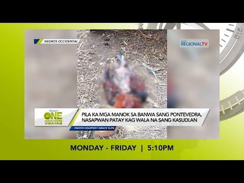 One Western Visayas: Mga manok ginpatay kag ginkuhaan sang kasudlan sa Pontevedra, Negros Occidental