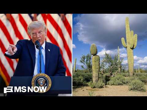 ‘I don’t know where this stops’: Trump’s border wall decimates indigenous land