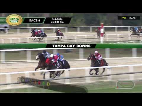 March 4, 2026  Race 6