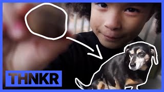 Dog Trick! Learn How to Make Your Dog Walk on a Leash | Kids Teaching Kids