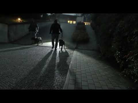 Traffico d'armi da guerra, arresto a Uboldo