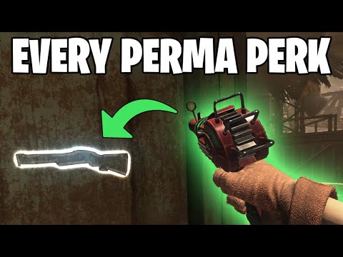 Getting EVERY Perma-Perk on Buried!