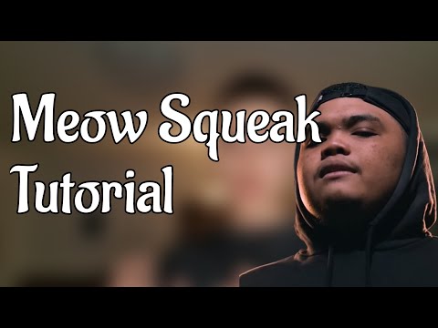 Beatbox Tutorial | Meow Squeak
