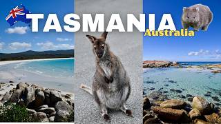I Spent a Week in Tasmania — Here's What Surprised Me Most