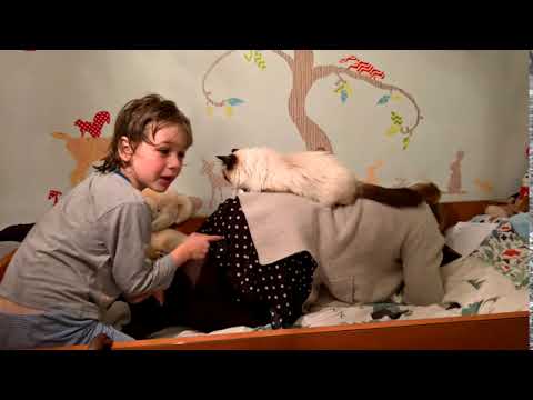 Philippa with cramp and Cokey deciding to sleep on her back