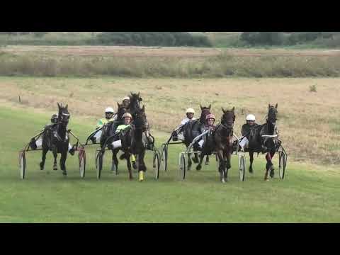 Omoljica-19.08.2023, Rick del Duomo & B. Nović