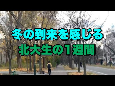 法学課程 冬の到来を感じる北大生の1週間【北大】【大学生】