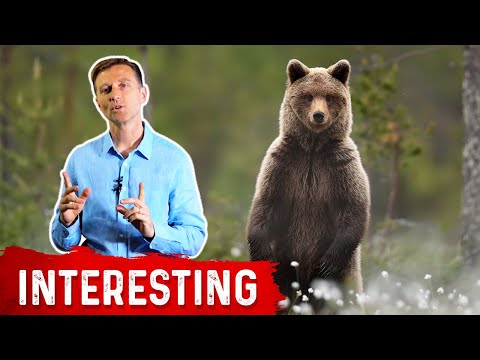 What are Enzymes and How do They Work Dr Berg