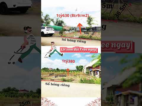 Đất Nền Ven Bình Chánh, Hóc Môn - TP. HCM giá Ngộp giảm ngay 250Tr